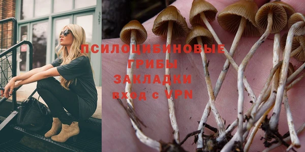 spice Абинск