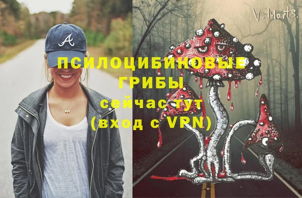spice Абинск