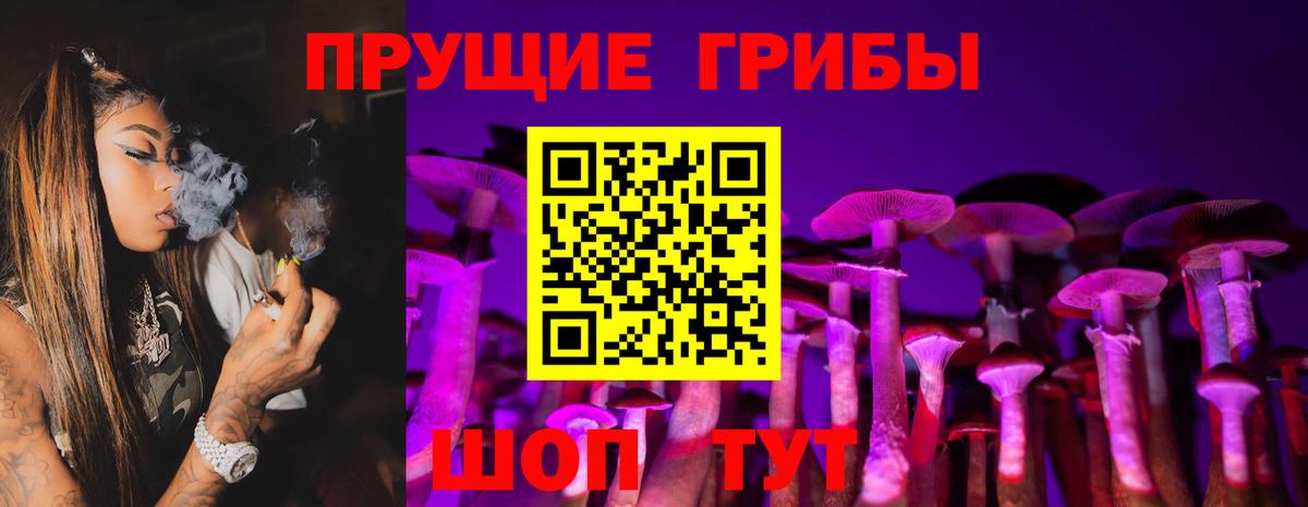 Псилоцибиновые грибы GOLDEN TEACHER  Псилоцибиновые грибы Cubensis  Азов  Вход с VPN 